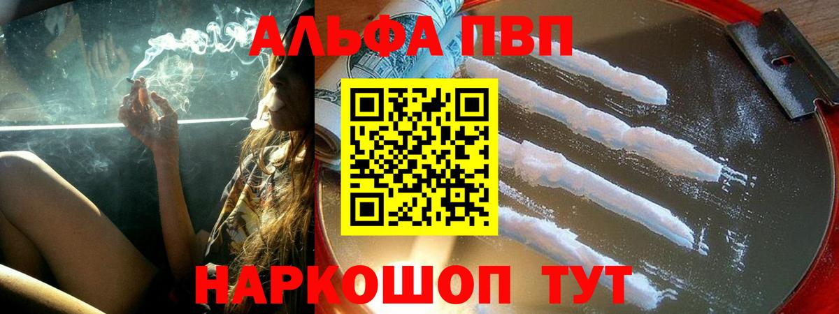 Альфа ПВП СК Новочебоксарск