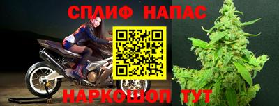 a pvp Донской