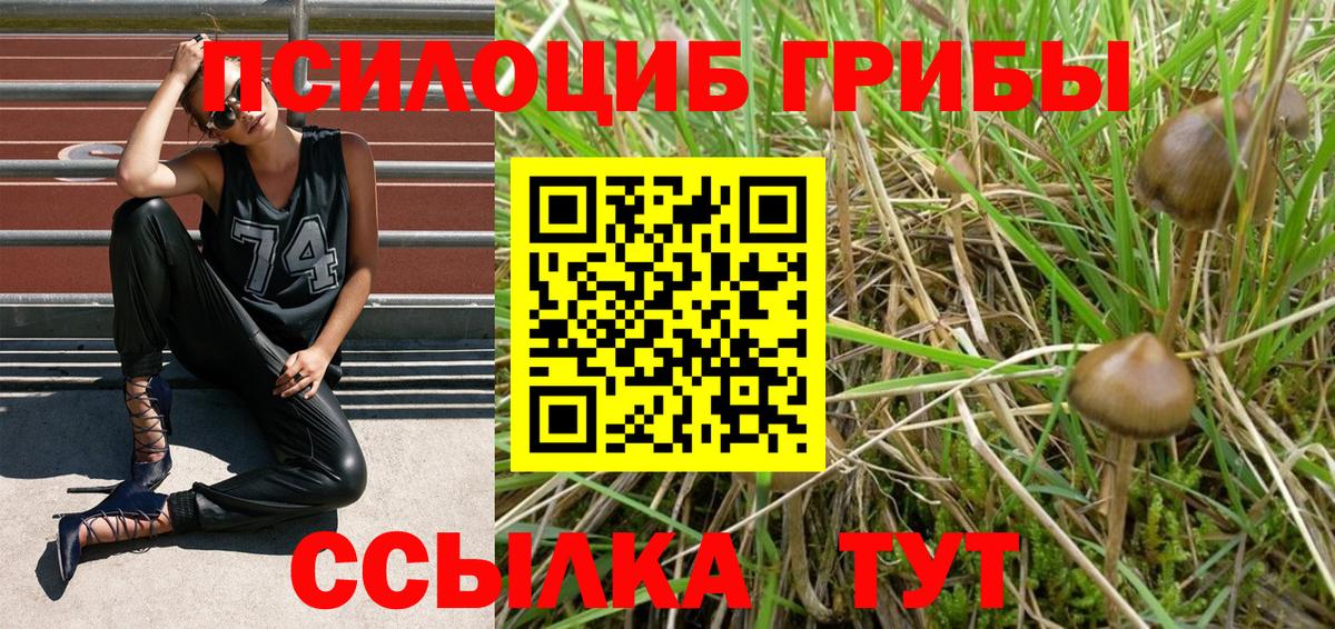 Псилоцибиновые грибы мицелий  Вход с VPN  Новочебоксарск 