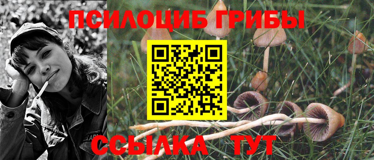 Псилоцибиновые грибы Magic Shrooms Новочебоксарск